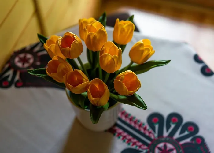 Podhalański Dom wakacyjny